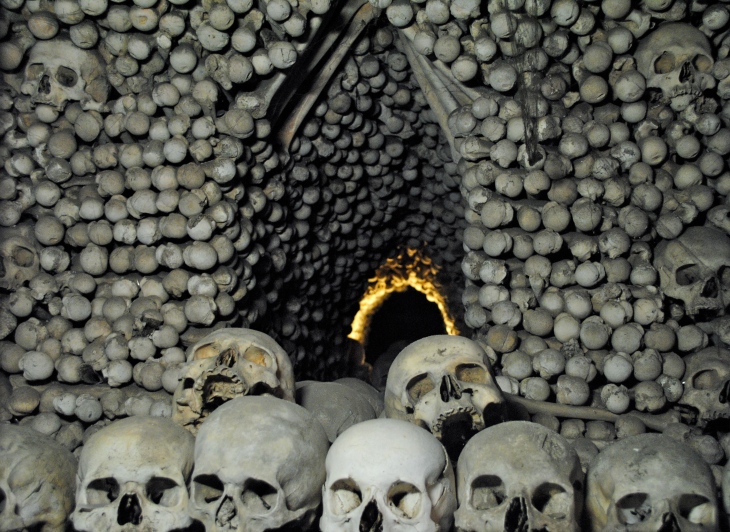 Skulls and bones lining the walls
